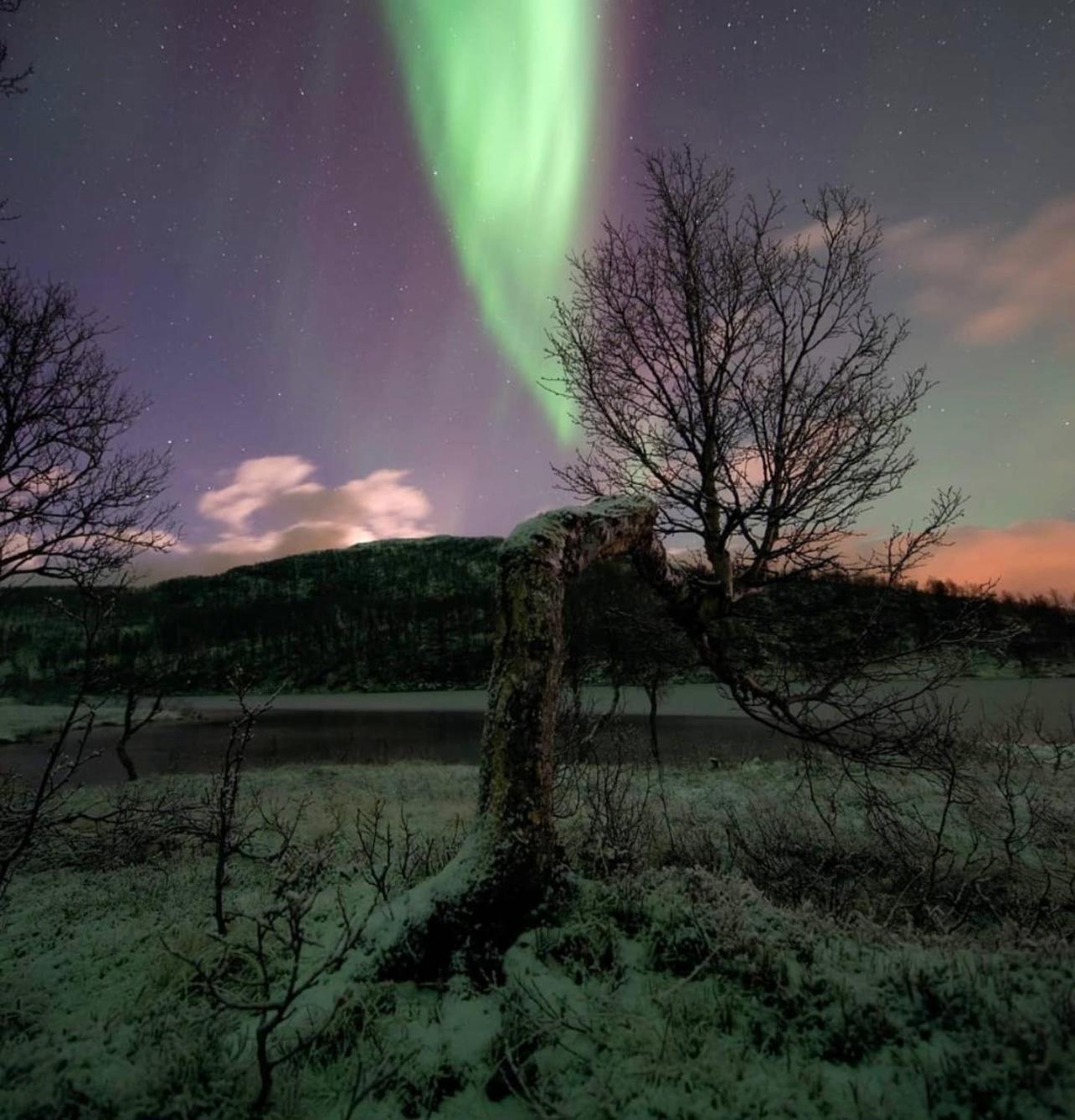 Harstad, All Seasons Экстерьер фото