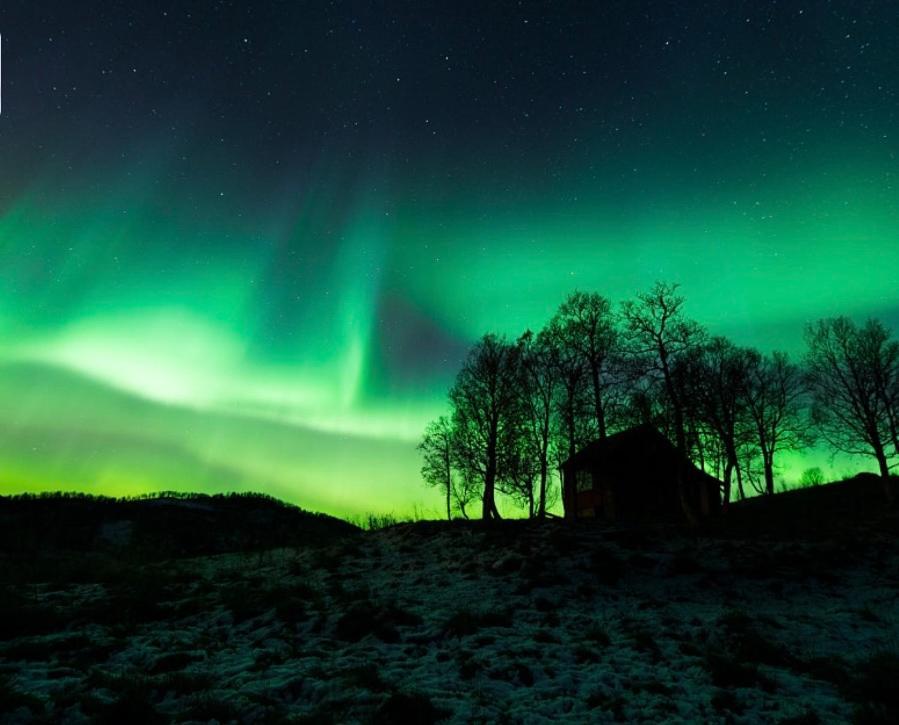 Harstad, All Seasons Экстерьер фото